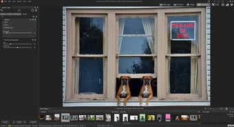 Imagen 4 para ACDSee Photo Studio Profe…
