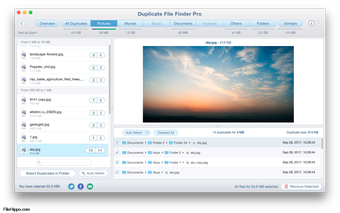 Duplicate File Finder的第1张图片