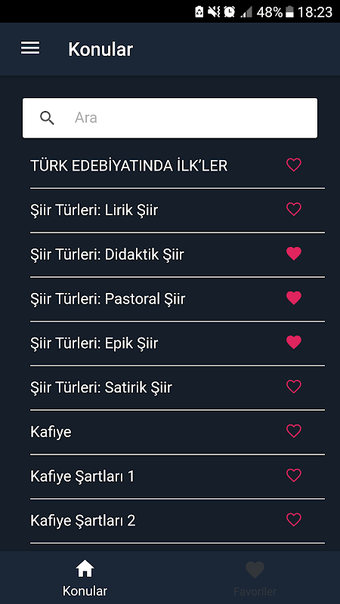 LYS Edebiyat Notları