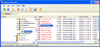 Imagen 0 para Pandora Recovery