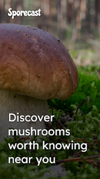 Bild 0 für Sporecast: Mushroom Map