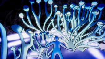 Bild 0 für Oceanarium