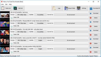 Kabuu Video Downloader