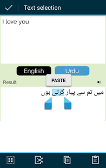 Immagine 1 per Urdu English Translator