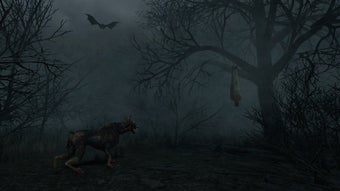 Witch Hunt的第0张图片