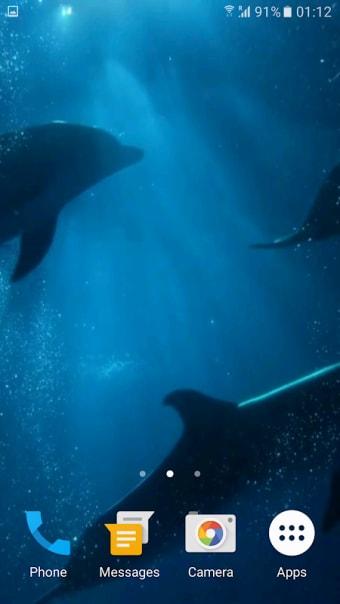 Dolphins 3D Video Wallpaper