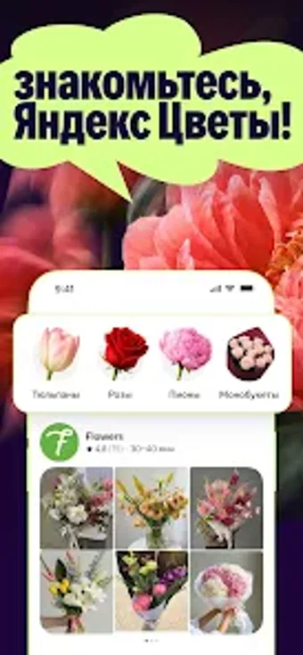 Bild 0 für Яндекс Цветы