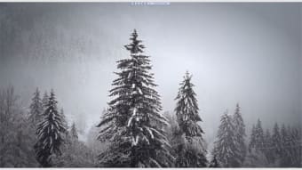 Snowfall HD Live Wallpaper