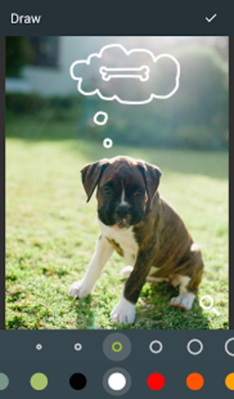 Imagen 11 para Photo Editor by Aviary