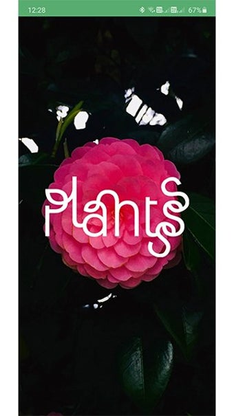 Obraz 0 dla Plantsss