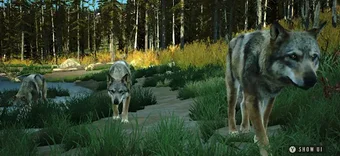 Obraz 0 dla Way of the Hunter Wild Am…