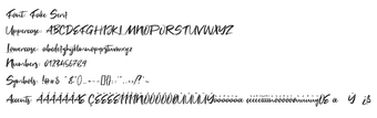 Bild 0 für Fake Serif