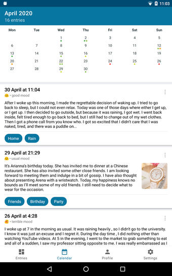 Image 0 for SafeDiary your personal d…