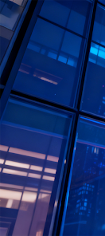 Imagen 0 para BricksJoy