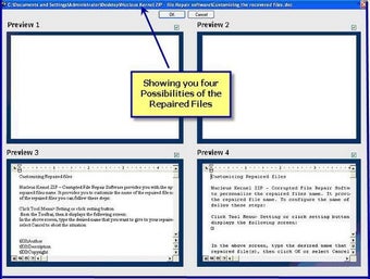 Bild 0 für Nucleus Kernel Word Docum…
