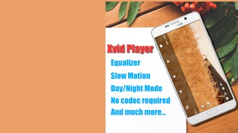 Image 0 for Xvid Video Codec Player