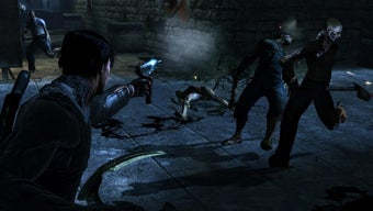 Dark Sector