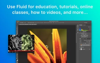 Fluid Browser的第0张图片