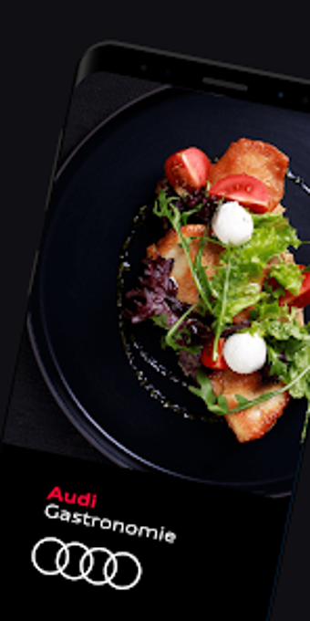 Obraz 0 dla Audi Gastronomie