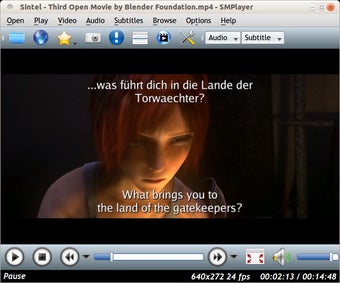 Bild 3 für SMPlayer