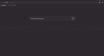 Obraz 0 dla Kingpin Private Browser