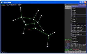 Bild 0 für PyMOL