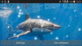 Bild 0 für Shark Live Wallpaper