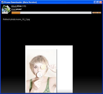 Picasa Album Downloader