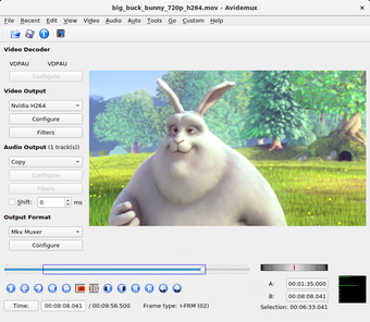 Image 0 pour Avidemux Portable