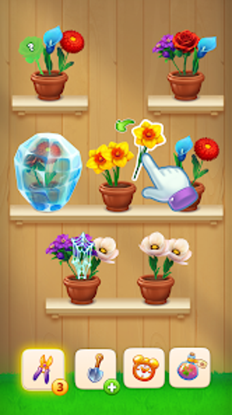 Obraz 0 dla Flower Kingdom