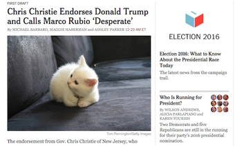 Imagen 0 para Make America Kittens Agai…