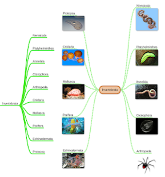 Image 1 for miMind - Easy Mind Mappin…