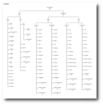 Image 5 for miMind - Easy Mind Mappin…