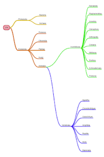 miMind - Easy Mind Mappin…的第17张图片