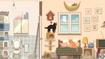 Bild 0 für Six Cats Under