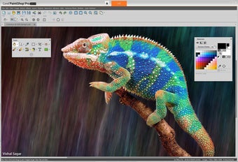 Corel PaintShop Pro (32-B…の画像0