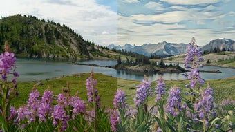 Corel PaintShop Pro (32-B…の画像1