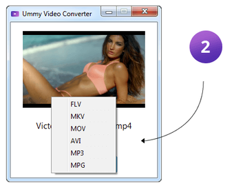 Imagen 1 para Ummy Video Converter