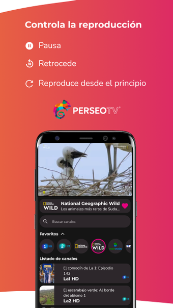 Bild 0 für Perseo TV