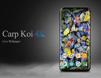 Obraz 0 dla Carp Koi fish live wallpa…