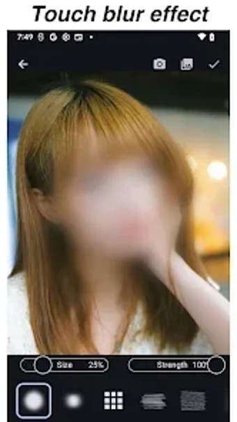 Imagen 0 para Blur Photo  Mosaic  Pixel