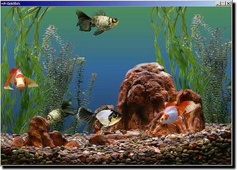 Bild 0 für Goldfish Aquarium