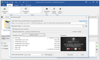 Bild 0 für ManyDownloader