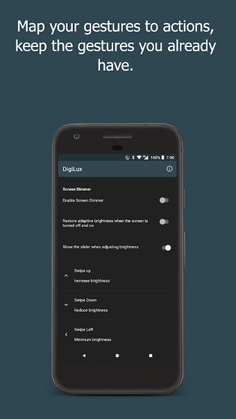 DigiLux: Fingerprint Gestures for Phone Brightness