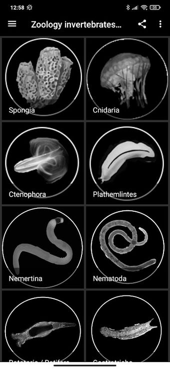 Immagine 0 per Zoology invertebrates par…