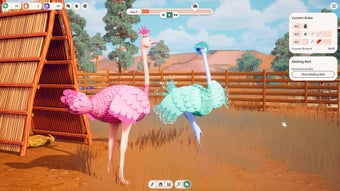 Ostrich Farm的第0张图片