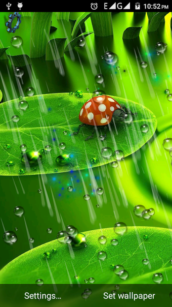 Immagine 0 per Drops Rain Live Wallpaper