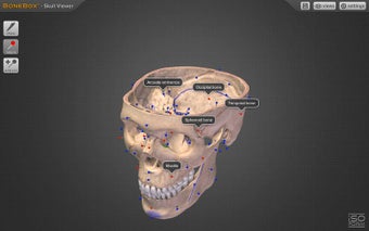 Immagine 0 per BoneBox - Skull Viewer