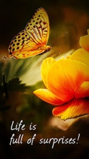 Imagen 2 para PicsPlay - Photo Editor