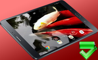 Image 0 for Koi Live Wallpaper PRO